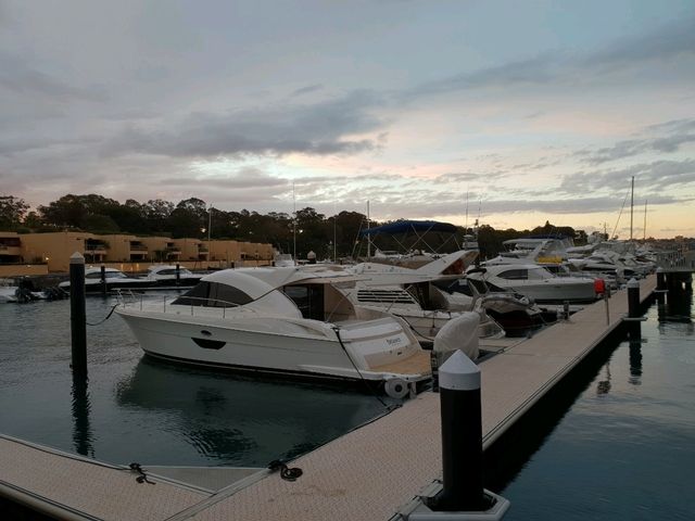 From Opera House Views to Golden Beaches — Discovering Sydney