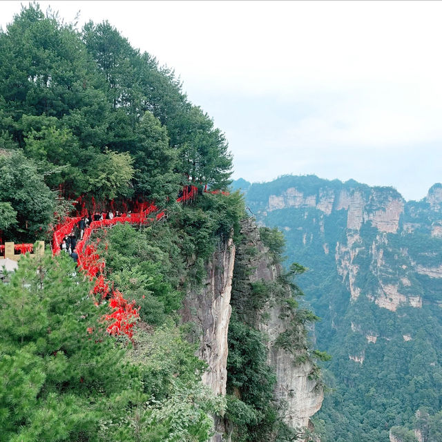 My Adventure in Yuanjiajie 