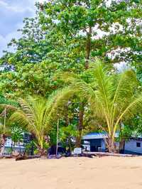 หาดในยาง “วิวเครื่องบิน + เสียงคลื่นชื่นใจ
