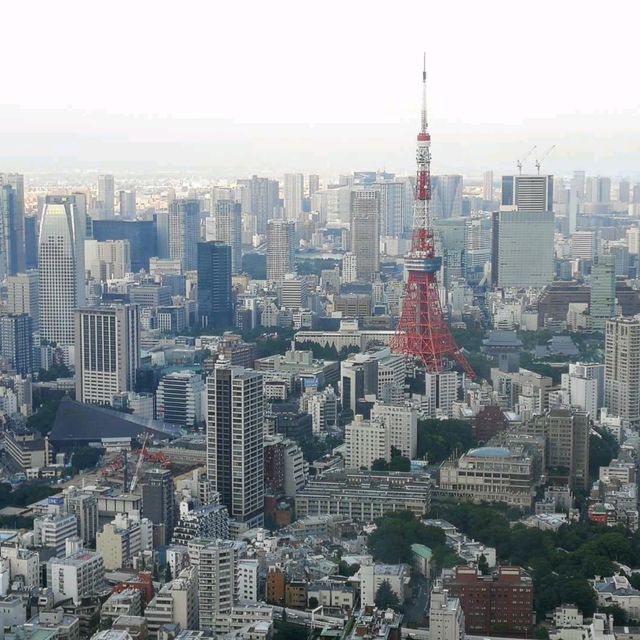 🏙️六本木新城展望台•東京360度極致景觀•富士山+夜色一次滿足
