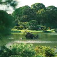荒崎公園絕美湖泊🌲  