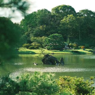 Arasaki Park's beautiful lake 🌲