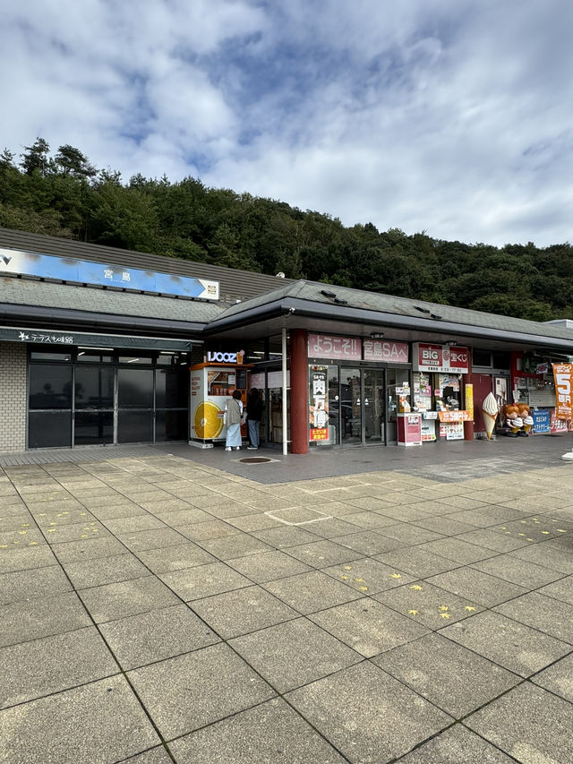 【ドライブ旅行】サービスエリアのご当地フードが楽しい♪