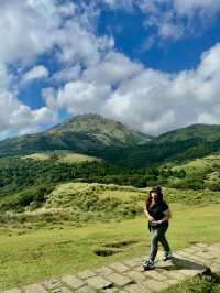 Escape to YangMingShan (QingTiangGang & LengShuiKeng) 🍃🌳
