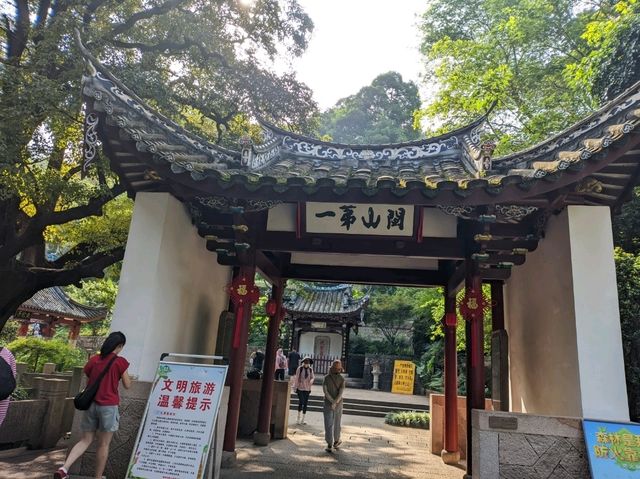 Ancient Trails Await🌳 Ancient Trails Await🌳