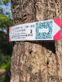 🌿2025 微笑山線大縱走・尋寶集章任務 🌿