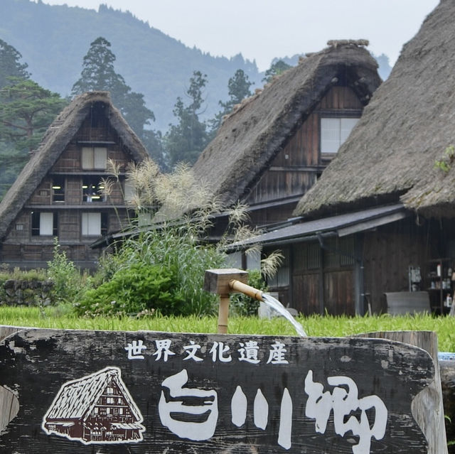 無人不曉的世界文化遺產一白川鄉合掌造