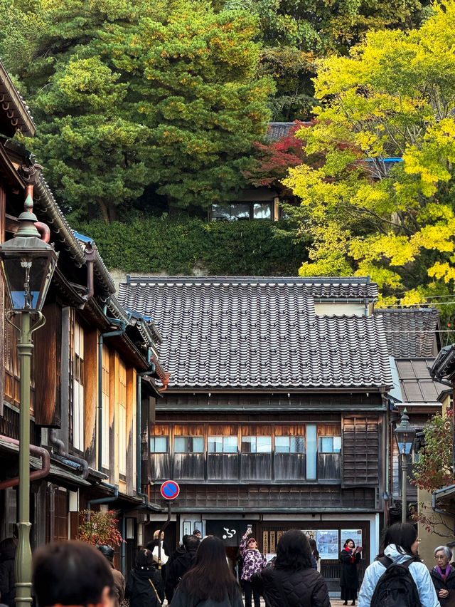 ♨️온천과 🌿자연, 👘전통을 모두 구경할 수 있는 ‘도야마’ 4박 5일 여행일정 