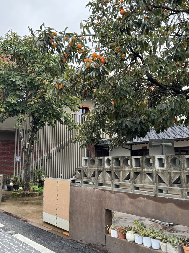 🌿 공주의 시간을 따라 걷는 하루 🌞
