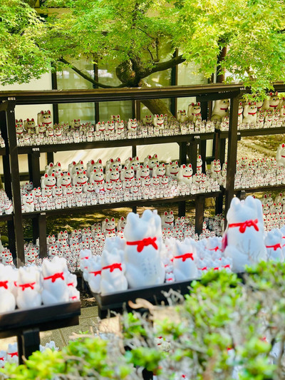 世田谷】🐈幸運の招き猫だらけ✨ | Trip.com 東京