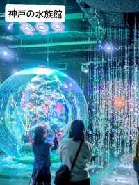 【神戸の水族館】水族館の年パス買うならココでしょ！