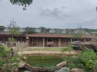 名古屋親子活動最佳場所#名古屋東山動植物園-日本愛知縣名古屋市