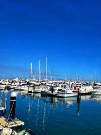 🏝️ Rottnest Island – A Paradise of Smiles and Sea Breezes