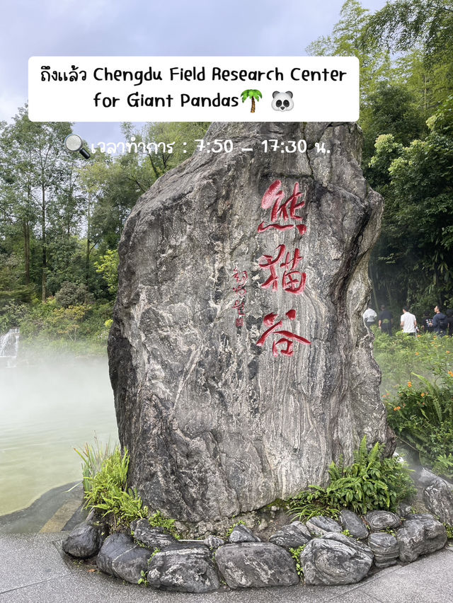 🐼📍เที่ยวเฉิงตู Panda Valley Dujiangyan🎋✨
