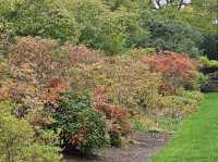 Sissinghurst Castle Garden