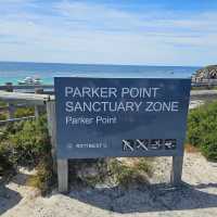 Rottnest Island Bliss