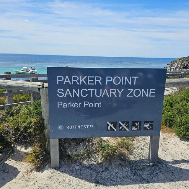Rottnest Island Bliss