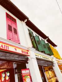 🎨 JB Street Art District: Where Colorful Buildings & Murals Bring the City to Life! 🌈