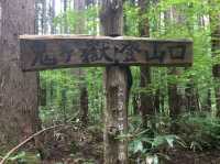 【福井・鬼ヶ嶽⛰】越前の絶景を一望！パワースポット登山