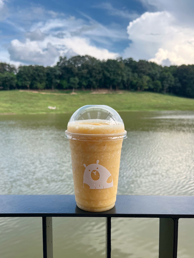 กาปี้ป่าร่า คาเฟ่ชลบุรี สุดฮีลใจ 🪿🌿 