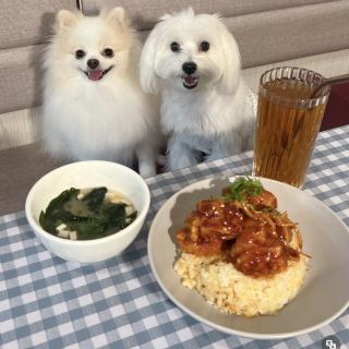 Место для пушистых друзей