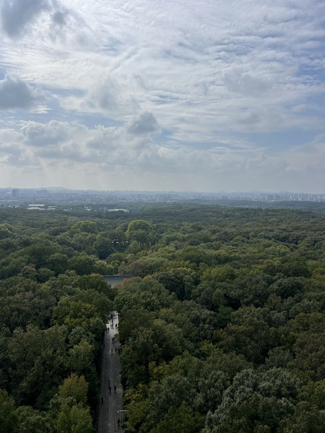 🇨🇳 History in the Clouds: Exploring Nanjing’s Purple Mountain (Zijin Shan) 🇨🇳 History in the Clouds: Exploring Nanjing’s Purple Mountain (Zijin Shan)