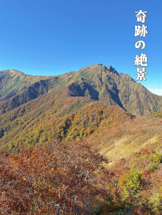 【群馬】今行くべき!!奇跡の絶景