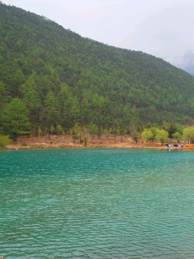 🏞️  : Blue Moon Valley , Lijiang เที่ยวจีน