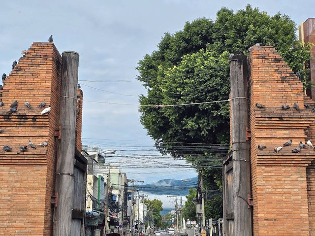 🧡🏯 “ประตูท่าแพ” แลนด์มาร์กสุดคลาสสิกแห่งเชียงใหม่ 🧡🏯 “ประตูท่าแพ” แลนด์มาร์กสุดคลาสสิกแห่งเชียงใหม่