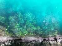 Small Lagoon - Pure magic!