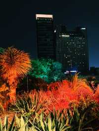 難波隱秘的綠洲：Parks Garden的迷人夜晚 🌌🌿