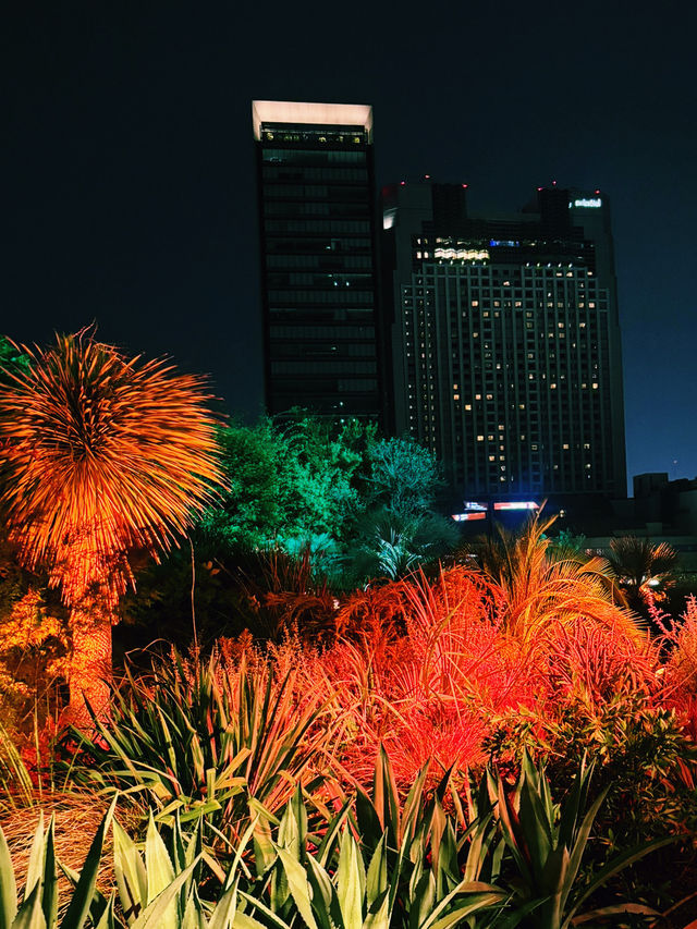 難波隱秘的綠洲：Parks Garden的迷人夜晚 🌌🌿