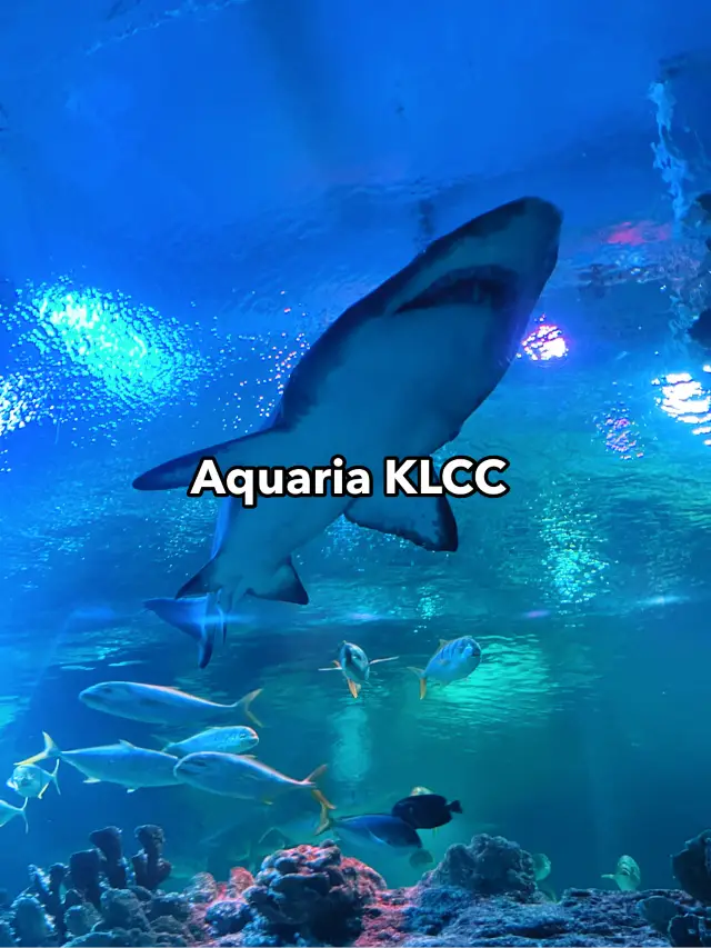 “Aquaria KLCC: A Mesmerising Underwater World in the City”