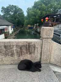 去蘇州，千萬別錯過中國有名的水鄉古鎮  - 周莊✨