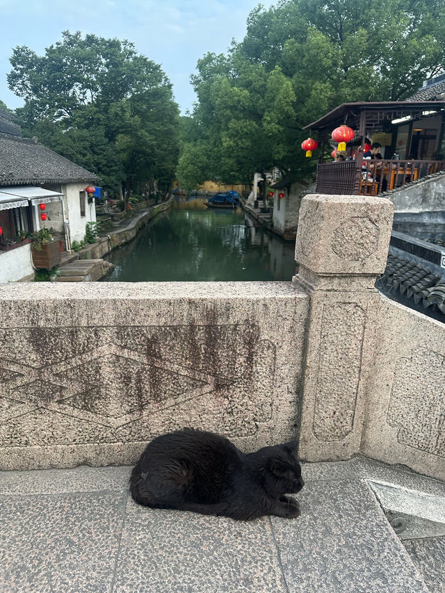 去蘇州，千萬別錯過中國有名的水鄉古鎮  - 周莊✨