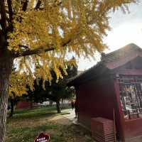 Two-Day Taian Itinerary