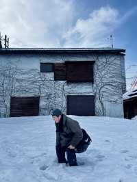 🇯🇵러브레터의 로맨틱한 도시 오타루 데이 트립 코스