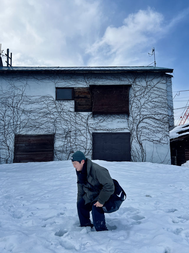 🇯🇵러브레터의 로맨틱한 도시 오타루 데이 트립 코스