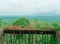 A Visit to Teck Guan Cocoa Village