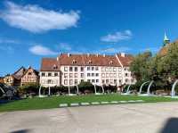 Alsatian Charm and Military History