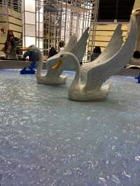 台灣桃園|走進繪本世界的瞬間 桃園機場旅人廣場太夢幻 必拍打卡點大公開