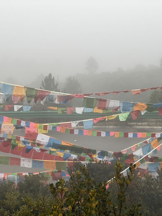 梅里雪山霧濃頂酒店體驗🏔️ 梅里雪山霧濃頂酒店體驗🏔️