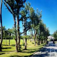 Refresh Your Morning at Eluanbi Lighthouse Before Christmas Shopping