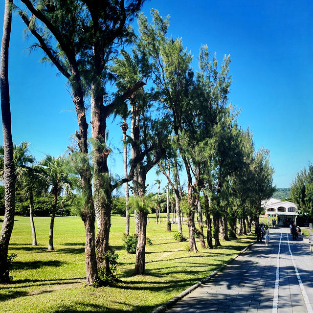 Refresh Your Morning at Eluanbi Lighthouse Before Christmas Shopping Refresh Your Morning at Eluanbi Lighthouse Before Christmas Shopping