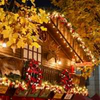 ไปกันมายัง ตลาดคริสมาร์ตที่เซี่ยงไฮ้ดีเว่อร์