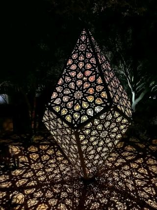 🌵 沙漠植物園－沙漠的活畫廊