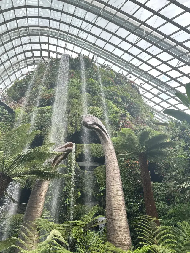 Cloud Forest Magic🌿 🦕
