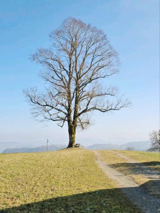 Zimmerwald Observatory