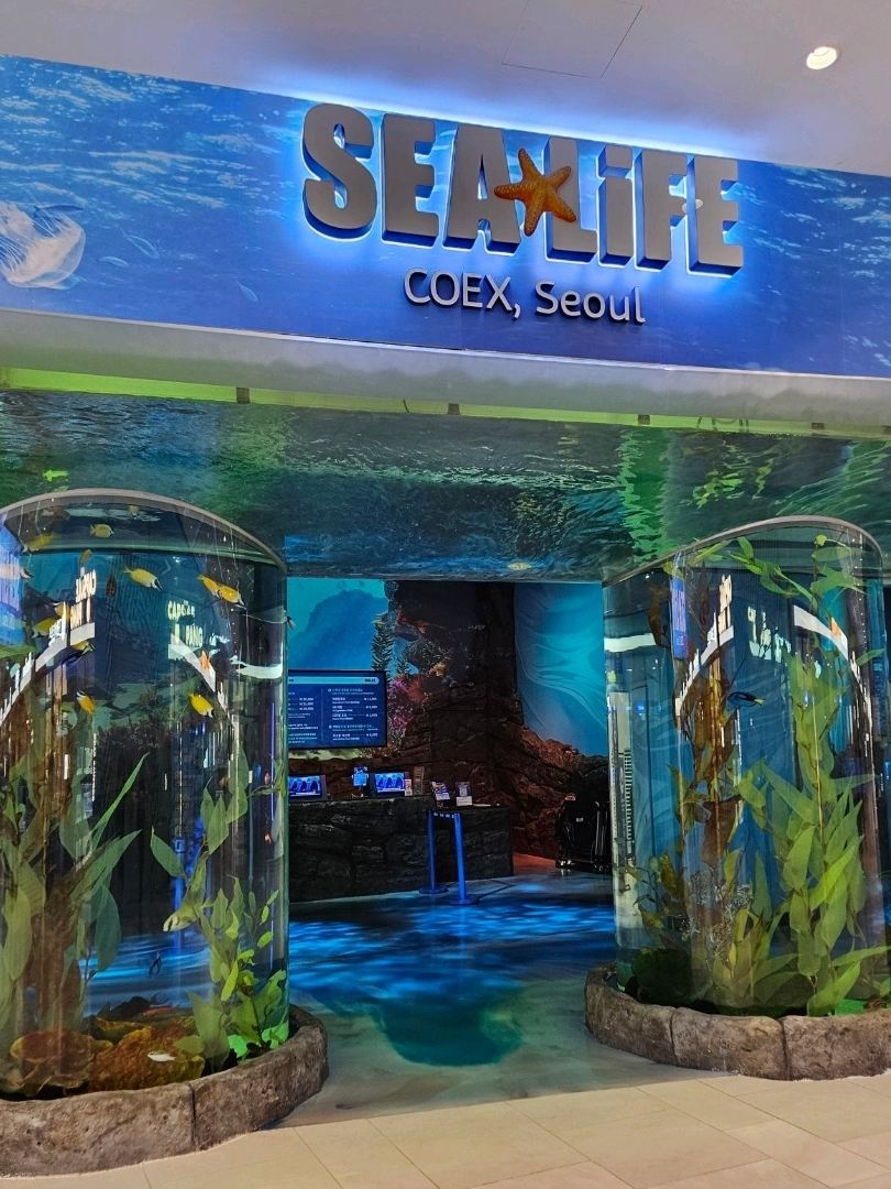 江南の水中秘密：COEX水族館！🌊🏙️ | Trip.com ソウル