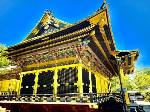 上野東照宮】黄金に輝く社殿に徳川家の権威を感じます | Trip.com